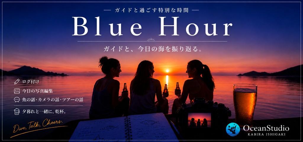 ブルーアワー - ガイドと今日の海を振り返るアフターダイブのひととき